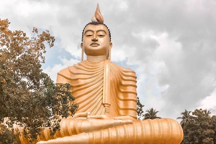 Wild Wonders and Hidden Temples from Galle (2 Days) - Photo 1 of 8